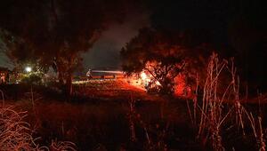 Batterien in Flammen: Tesla kracht bei Los Angeles gegen Baum