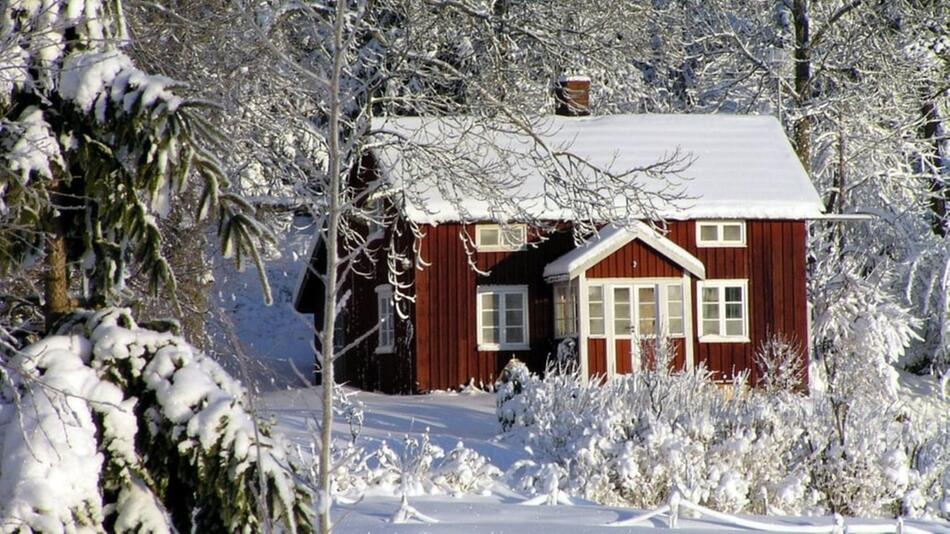 Schnee im Garten