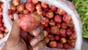 KORREKTUR! Rote Kartoffeln und ihre Vorteile gegenüber gelben Sorten