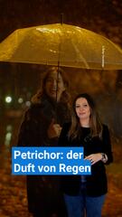 Der Geruch von Regen