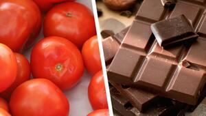 Reife, rote Tomaten auf der linken Seite und mehrere Stücke dunkler Schokolade auf der rechten ...