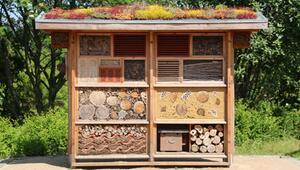 Insektenhotel bleibt leer.