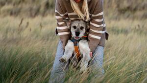 Frau hält ihren Hund.