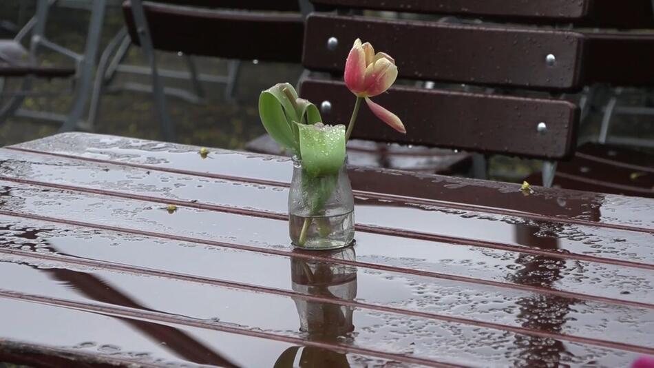 Das Wetter teilt Deutschland: Krasse Temperaturunterschiede zwischen Ost und West