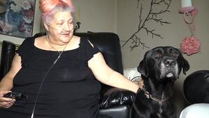 Vier Monate lang vermisst: Todkranke Frau in Texas findet ihren Hund wieder