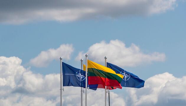 Litauische Flagge
