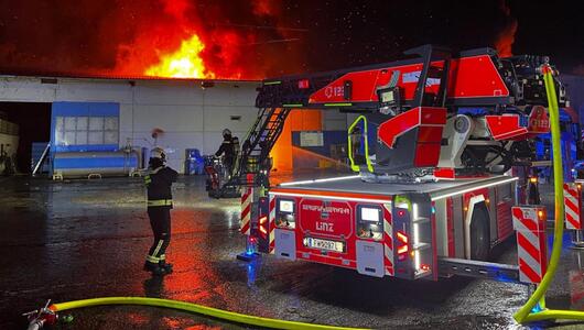 Zur Ursache des Feuers wird noch ermittelt