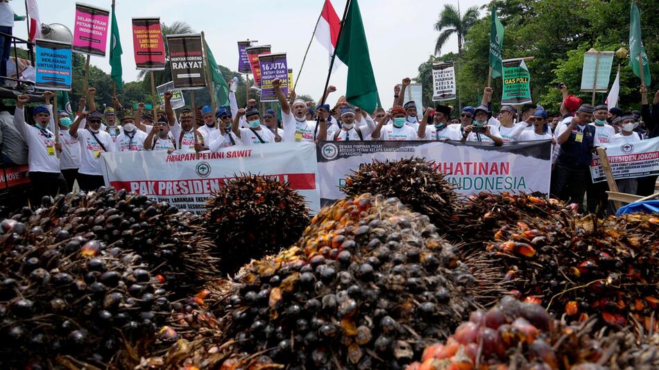 Protest gegen Palmöl-Exportverbot in Indonesien