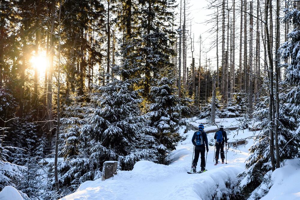 Winterwetter im Harz