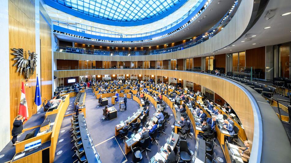 Die blauen Mandatare haben am meisten bezahlte Nebenjobs