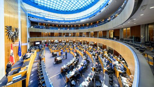 Die blauen Mandatare haben am meisten bezahlte Nebenjobs