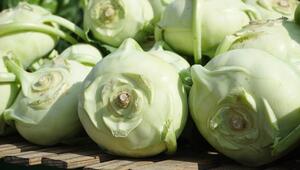 Kohlrabi