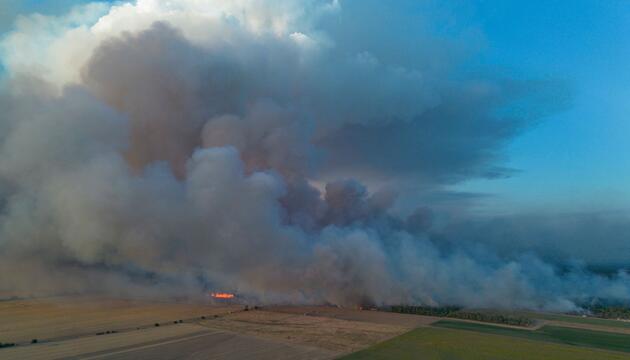Waldbrand in der Gohrischheide