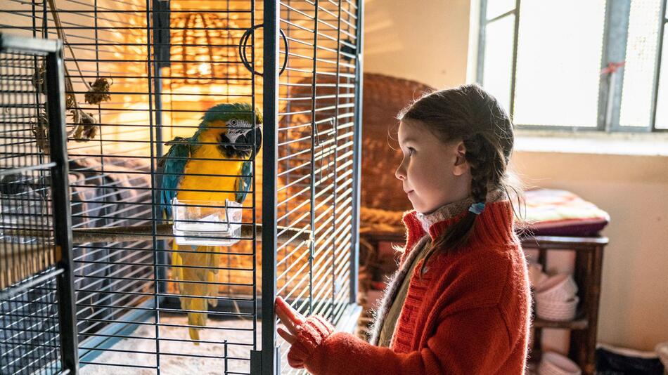 "Kommt ein Vogel geflogen"