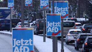 Für über 6.000 Plakate: AfD erhält Millionenspende aus Österreich