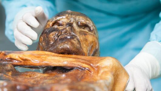 Das Mikrobiom des Ötzi