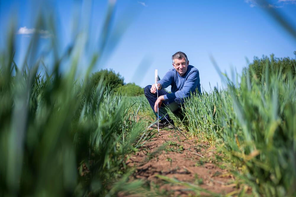 Trockenheit in der Landwirtschaft