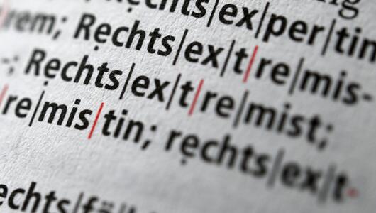 Rechtsextreme Straftaten nehmen seit ein paar Jahren wieder zu