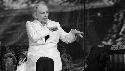 Vera Borek in "Die Physiker" im Jahr 2014 im Volkstheater
