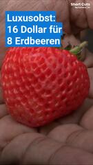 Obst als Luxus in den USA: 400 Dollar für eine Frucht