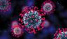 Lama,Gesundheit, Corona, Coronavirus