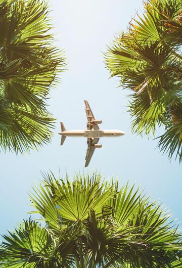 Flugzeug