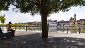 Ein Mann sitzt am Ufer des Mains unter einem Baum im Schatten