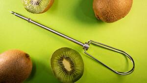 Kiwis liegen neben einem Rührbesen-Aufsatz