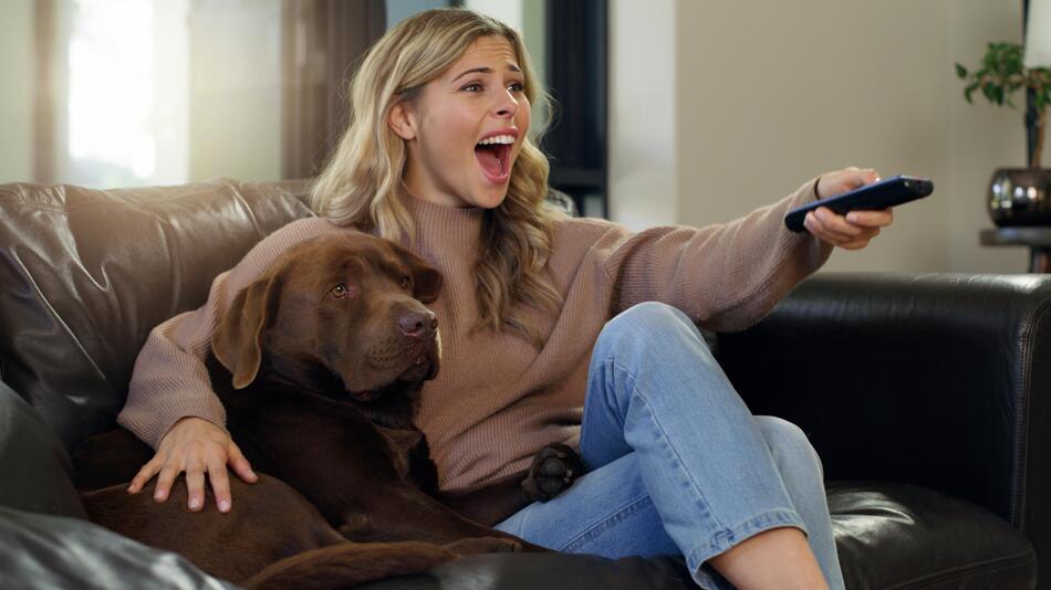Hund auf der Couch mit Frauchen am Fernsehen