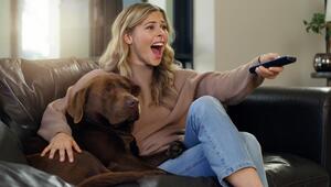 Hund auf der Couch mit Frauchen am Fernsehen