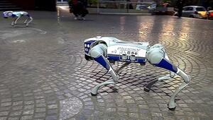 Hightech-Sicherheit: Venezuela schickt Roboterhunde auf Patrouille