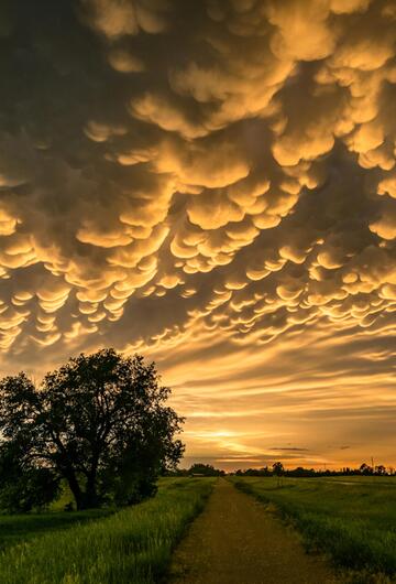 Mammatus-Wolken