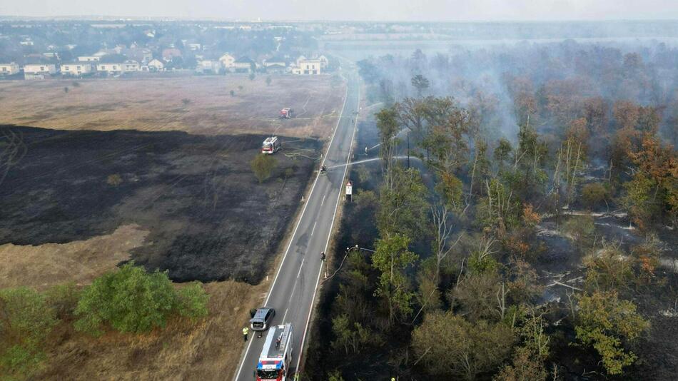 Ein großes Areal bei Gänserndorf stand in Flammen