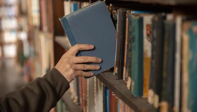 Buch Bibliothek