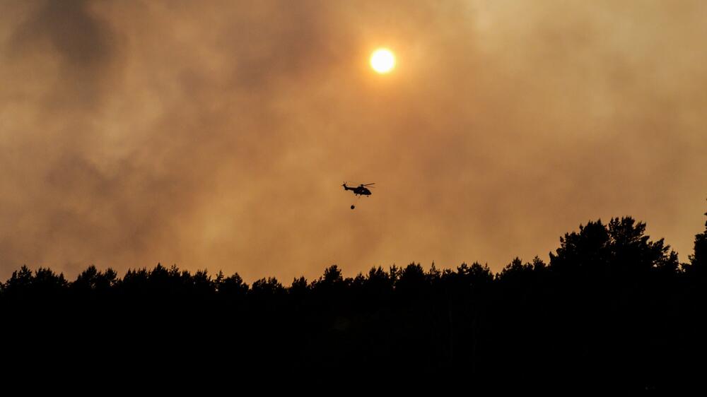 Waldbrand, Jüterbog, Brandenburg