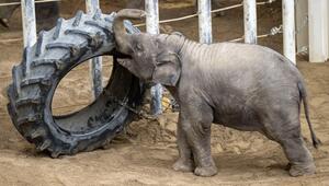 Tierpark Hellabrunn