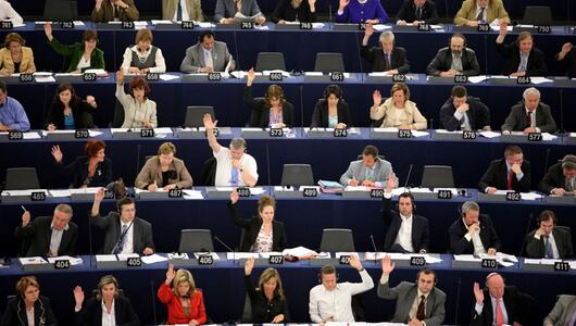 EU-Abgeordnete und ihre verschiedenen Hintergründe
