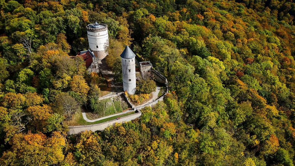 Burg Plesse im herbstlichen Wald