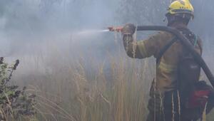 Argentinien: Feuerwehr kämpft seit Wochen gegen Waldbrände