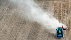 Trockenheit in der Landwirtschaft
