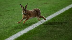 Holstein Kiel - VfB Stuttgart