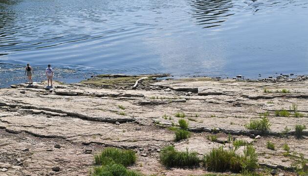 Niedrigwasser an der Elbe