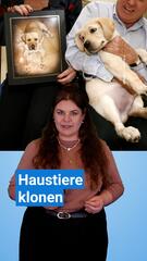 Haustiere Klonen: ein teures Geschäft