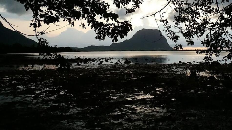 Berggipfel Le Morne Brabant