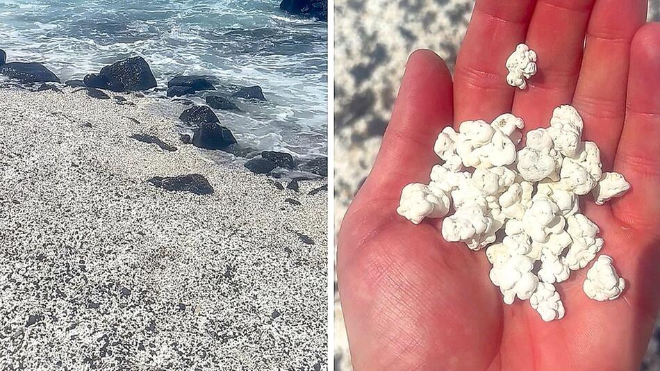 Popcorn-Strand auf Fuerteventura überrascht mit fossilem Phänomen