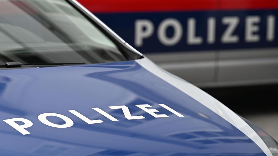 Symbolbild Polizeiauto