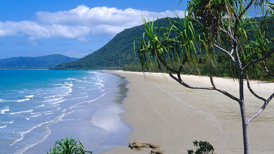 Cape Tribulation: Dieser Traumstrand ist keine Idylle – sondern tödlich