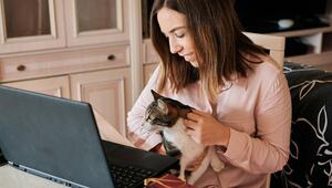 Eine Frau streichelt eine Katze auf ihrem Schoß. Vor ihr steht ein Laptop.