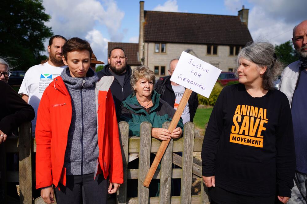 Proteste gegen Tötung von Alpaka Geronimo in Großbritannien