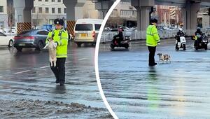 Polizist kommt gerade recht: Hund will mehrspurige Straße überqueren und sucht sich Hilfe